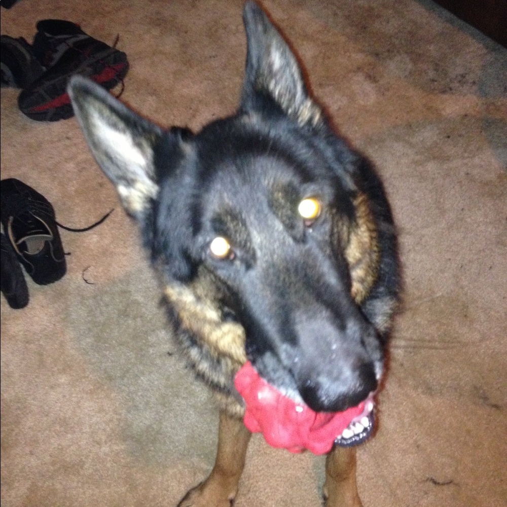 Meet your Posher, Tony